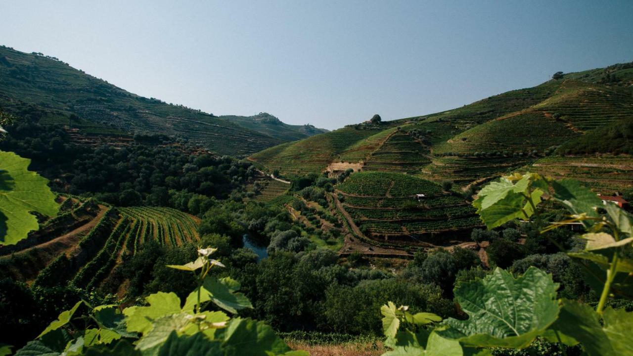 Villa Quinta do Vale da Ermida Ermida  Esterno foto